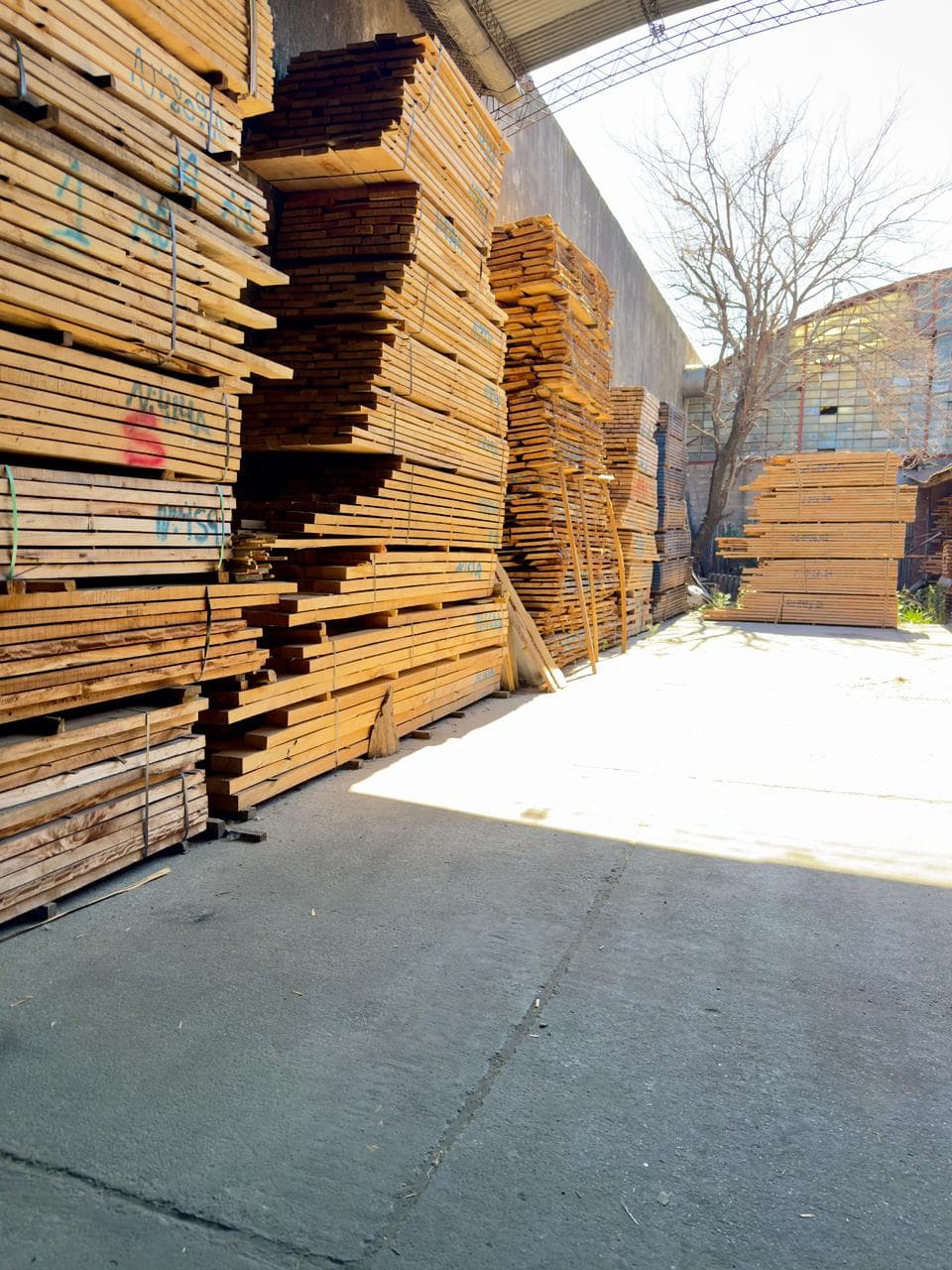 Maderas apiladas en el depósito de Trevisan Maderas
