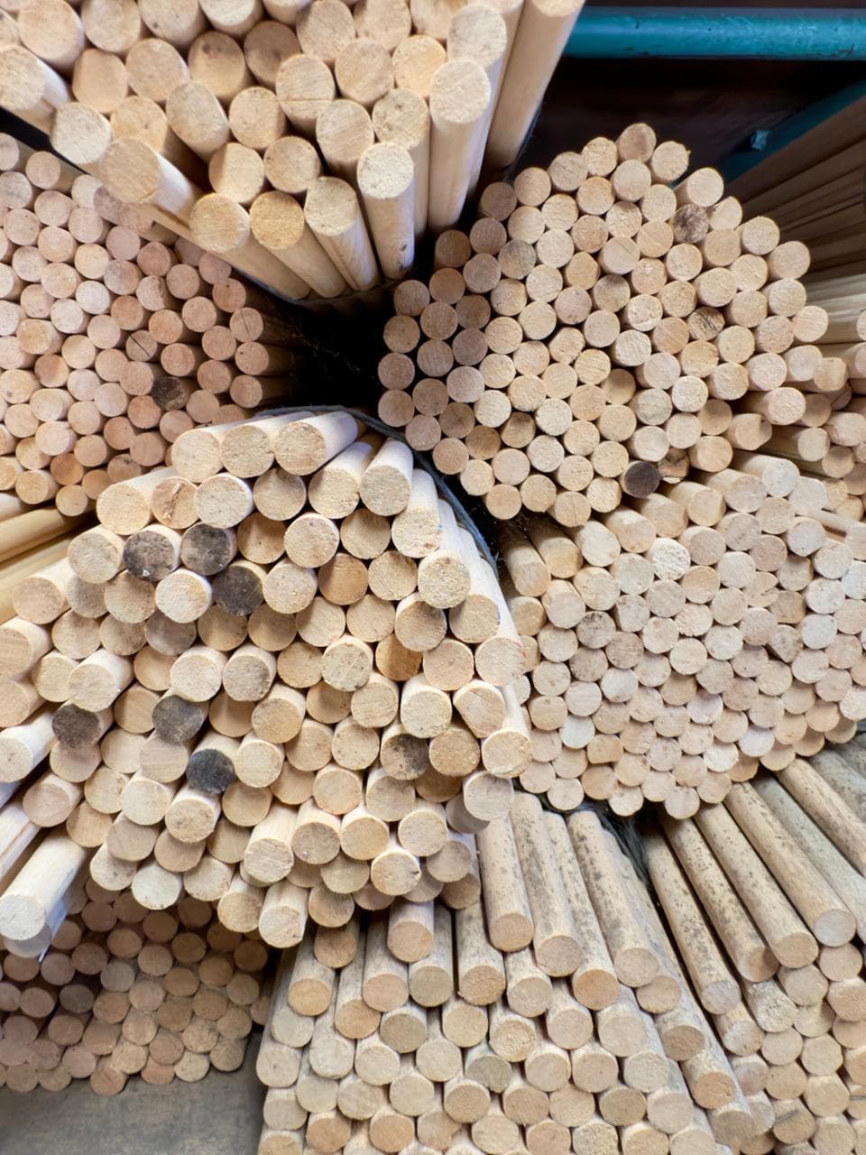 Secadero propio de Trevisan Maderas